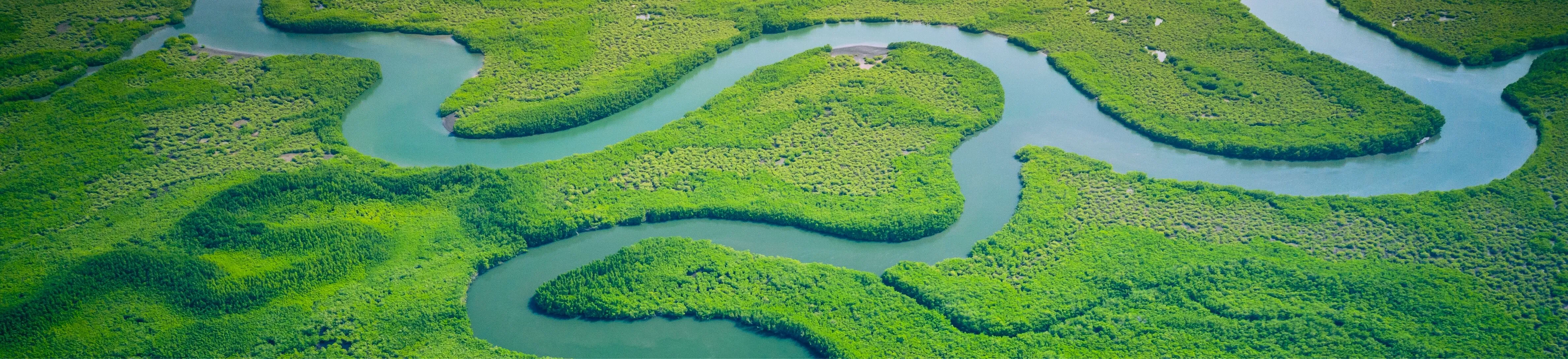 lake turning, aerial view