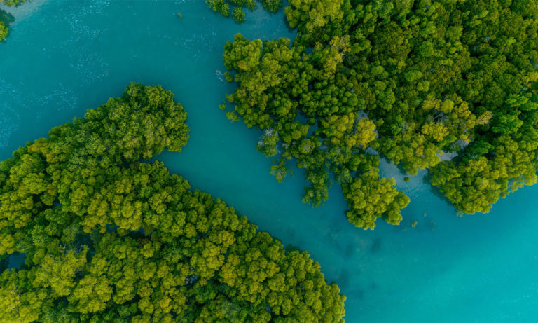 Trafigura Foundation Signs a Call to Action to Accelerate Action on Climate Adaptation