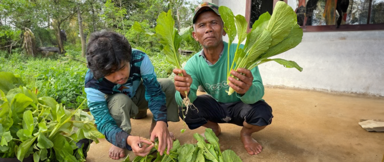 Borneo: Experience Thriving Nature