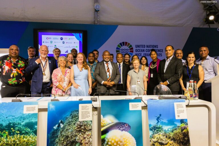 Trafigura Foundation Joins Global Pledge to Protect Coral Reefs