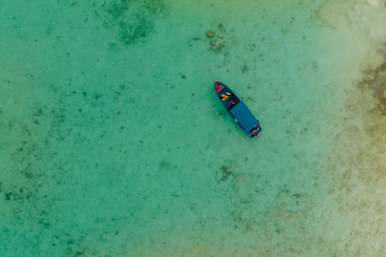 New Partnership to Protect Coastal Ecosystems for People and Nature