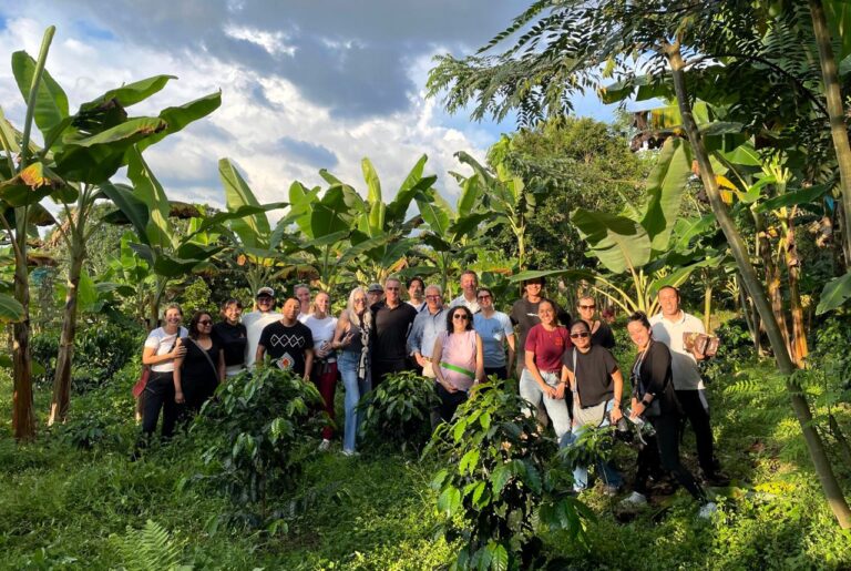 Colombia: How “the Dream of Açaí” Lifts Community Resilience