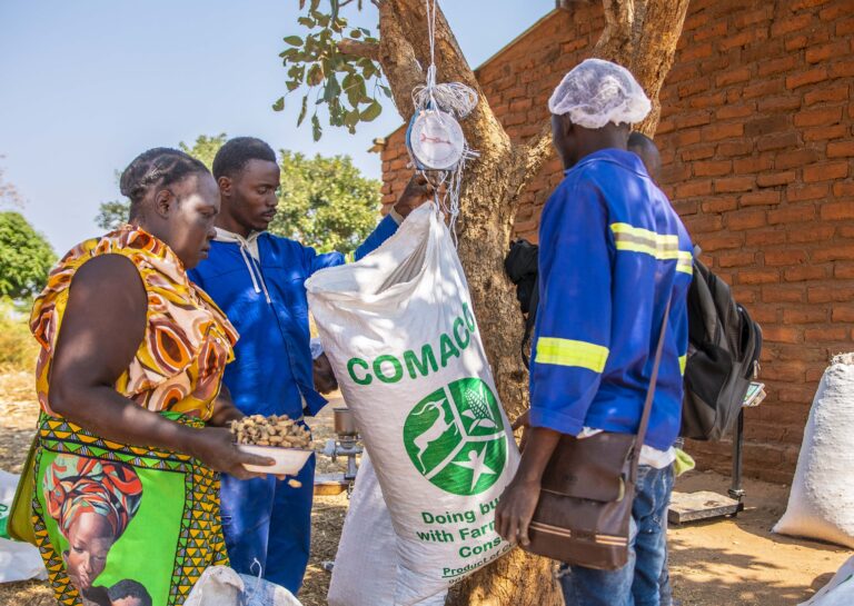 New Partnership to Make Conservation Profitable for Farming Families in Zambia