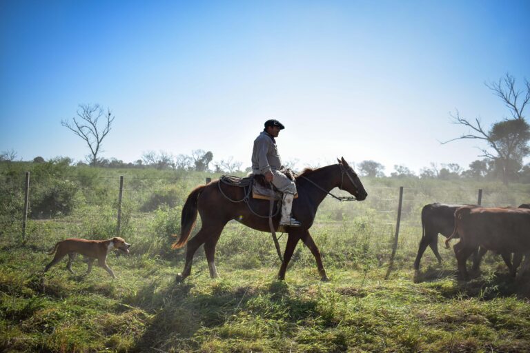 New Grant to The Nature Conservancy