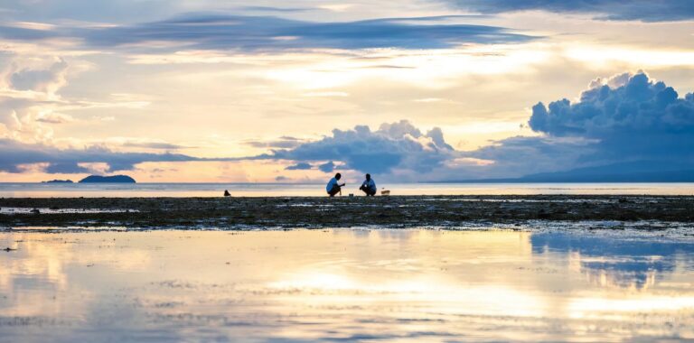 New Field-based Case Studies on Climate Resilience