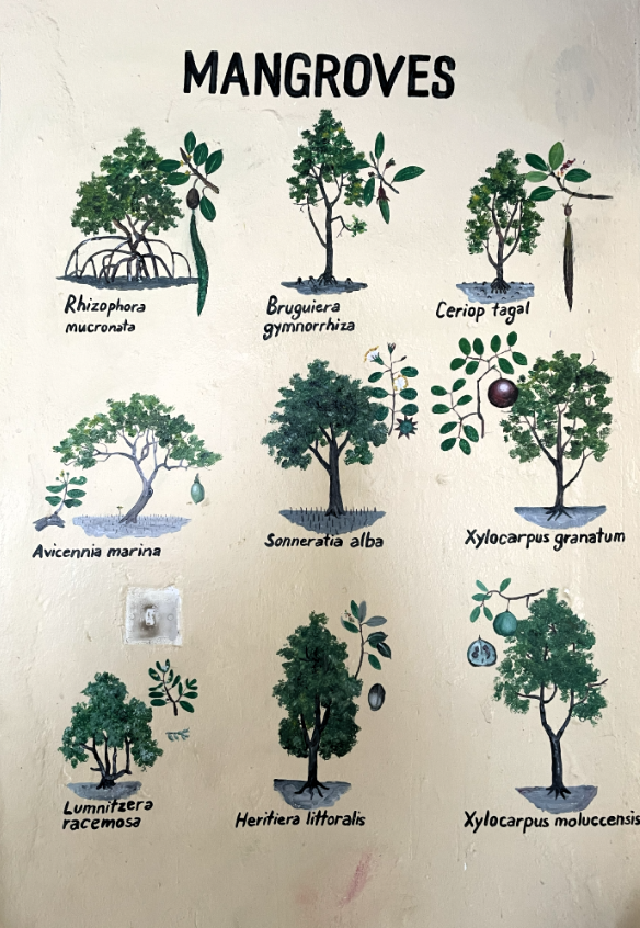 Generating revenue from conservation to build resilience in coastal Kenya