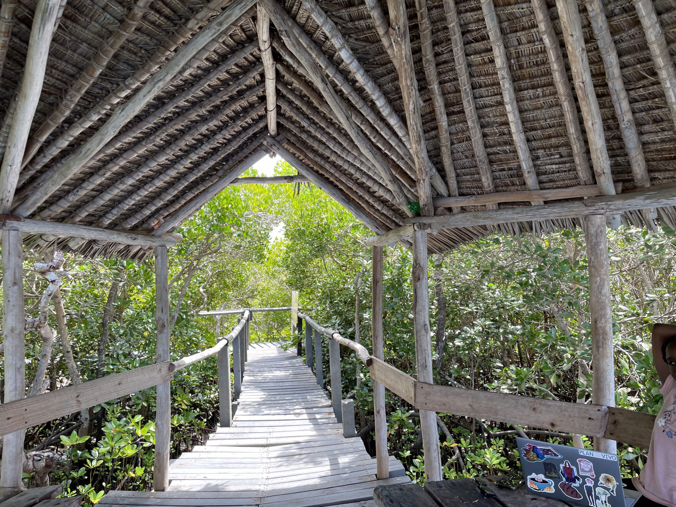 Generating revenue from conservation to build resilience in coastal Kenya