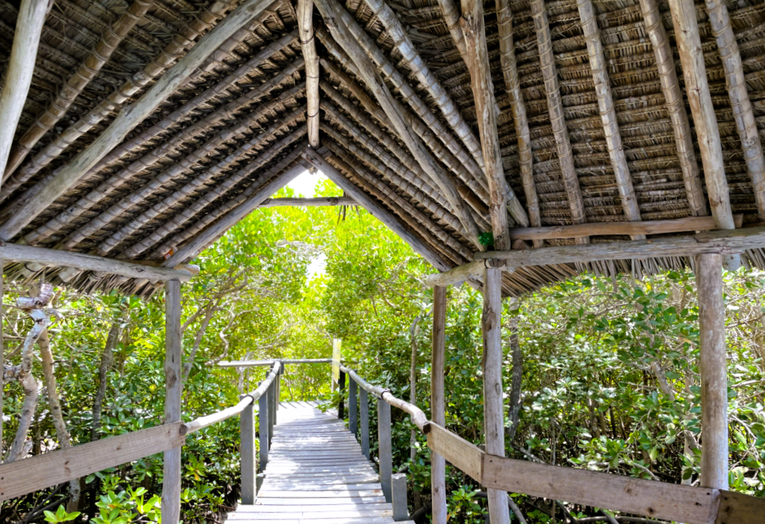Generating Revenue From Conservation to Build Resilience in Coastal Kenya