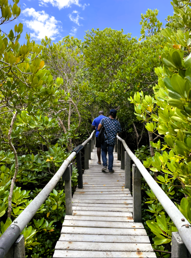 Boardwalk2-1