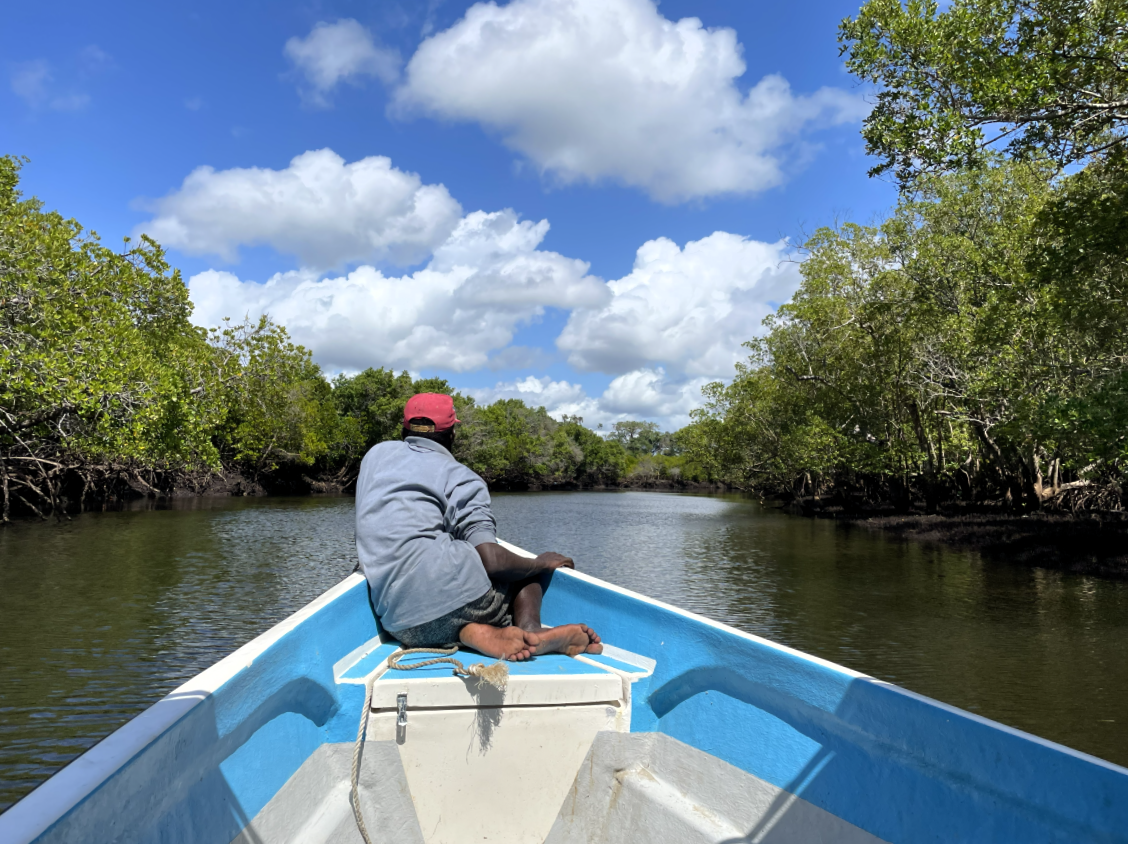 Generating Revenue From Conservation to Build Resilience in Coastal Kenya