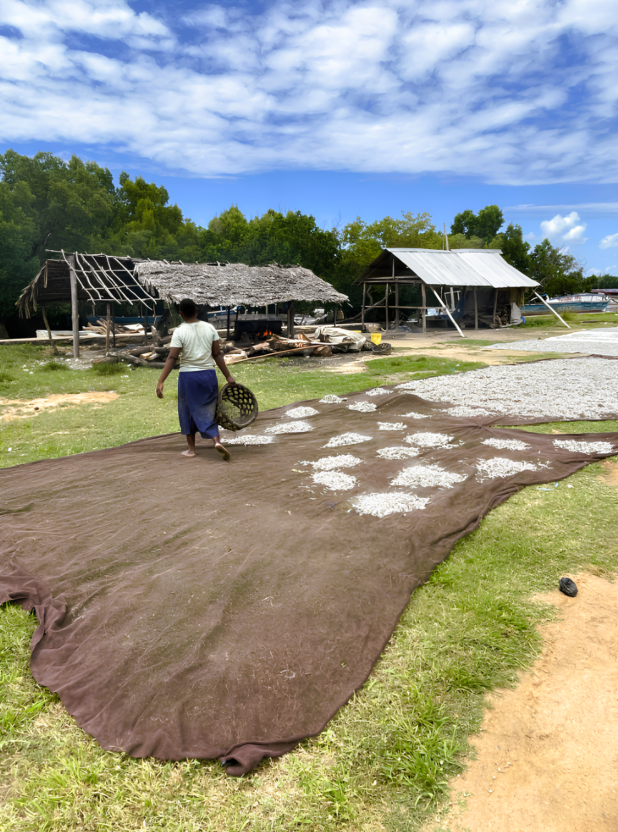 Generating Revenue From Conservation to Build Resilience in Coastal Kenya