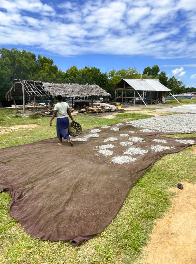 Generating revenue from conservation to build resilience in coastal Kenya