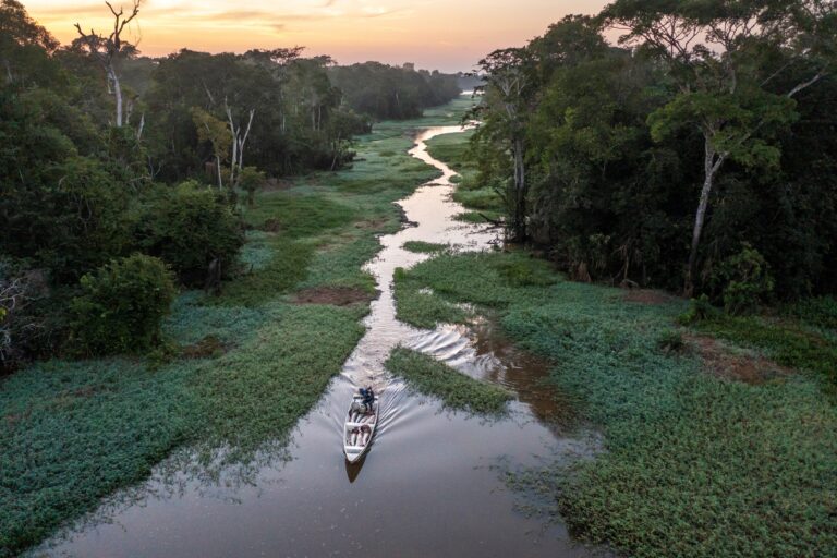 New partnership to make conservation profitable for communities in the Amazon