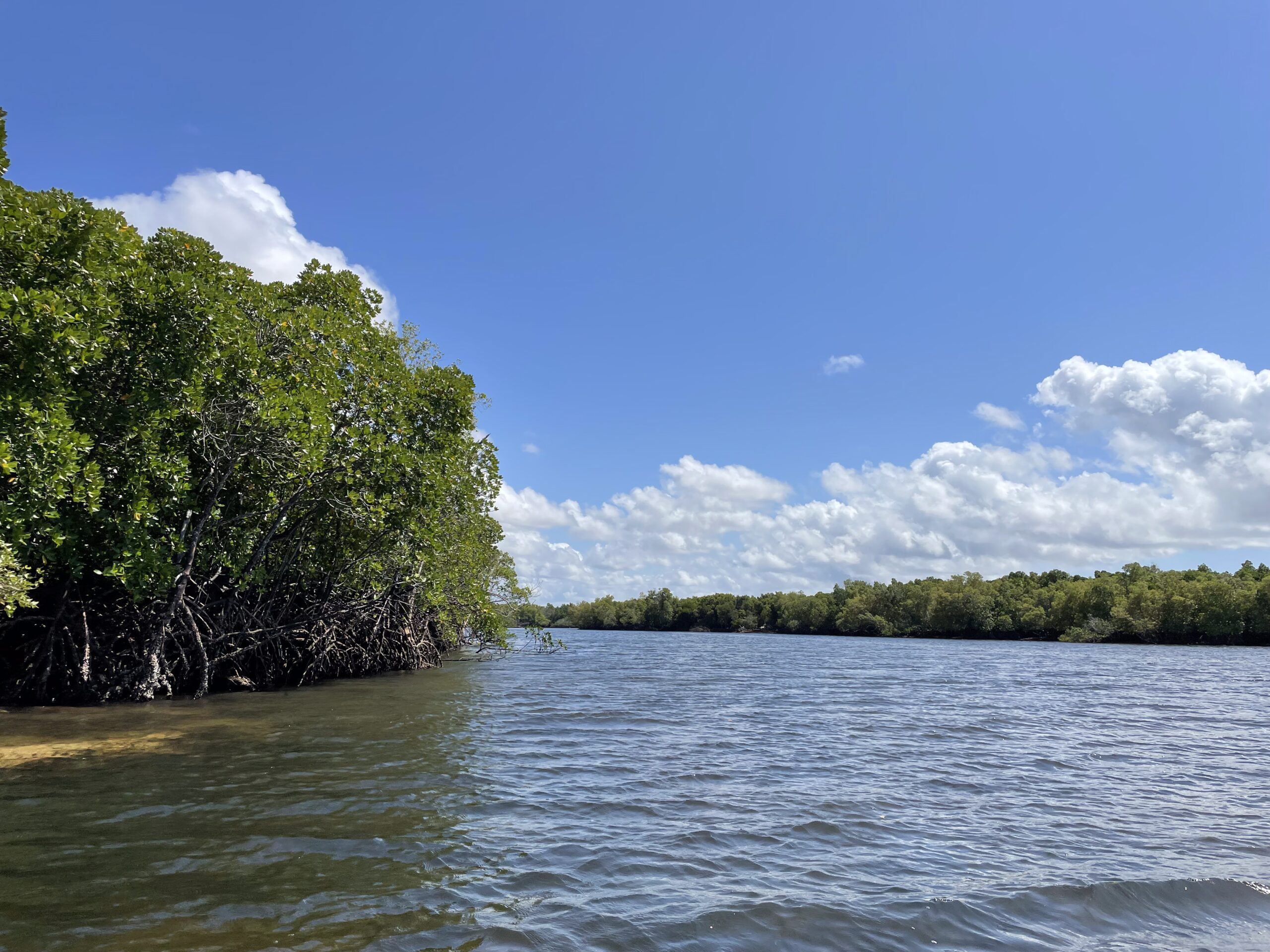 Generating Revenue From Conservation to Build Resilience in Coastal Kenya