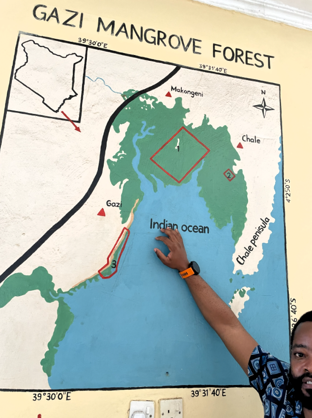 Generating revenue from conservation to build resilience in coastal Kenya