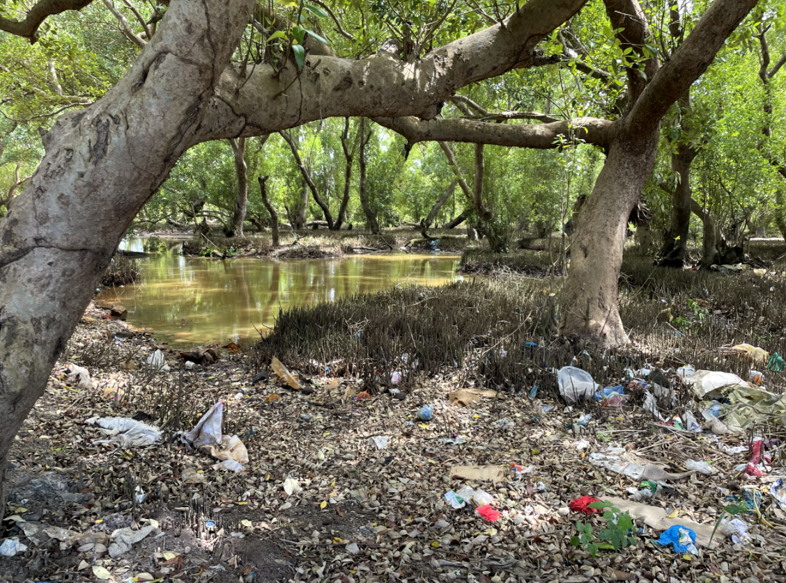 Plastic-pollution-1