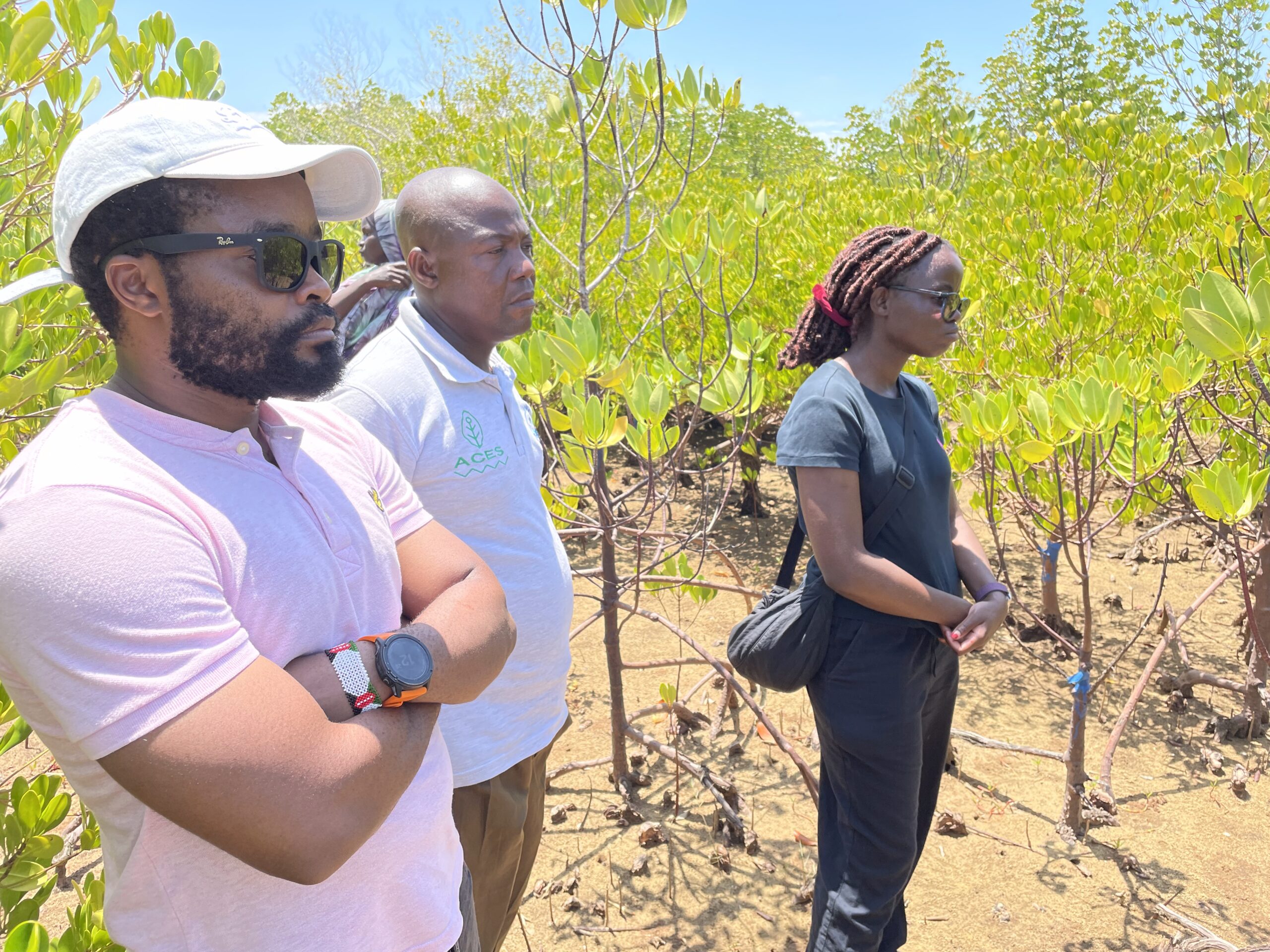 Generating revenue from conservation to build resilience in coastal Kenya