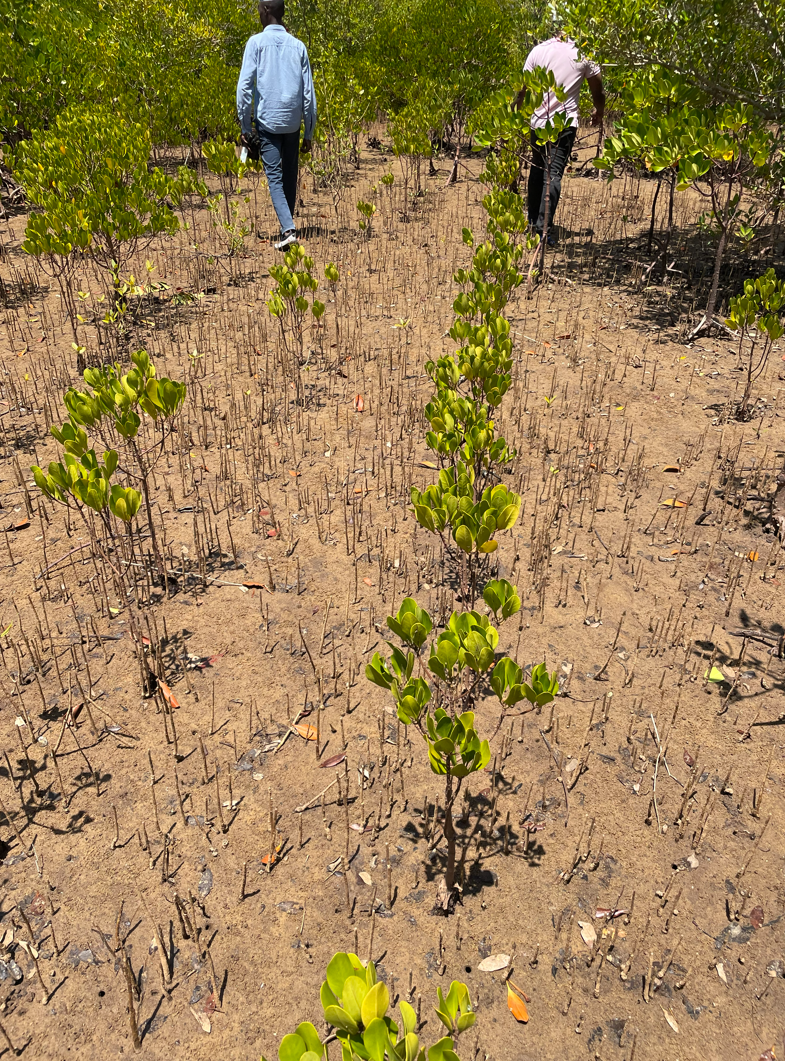 Plot2-1