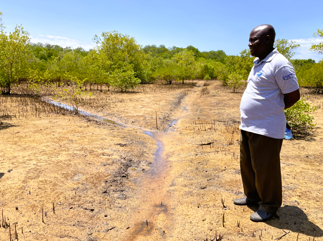 Generating revenue from conservation to build resilience in coastal Kenya