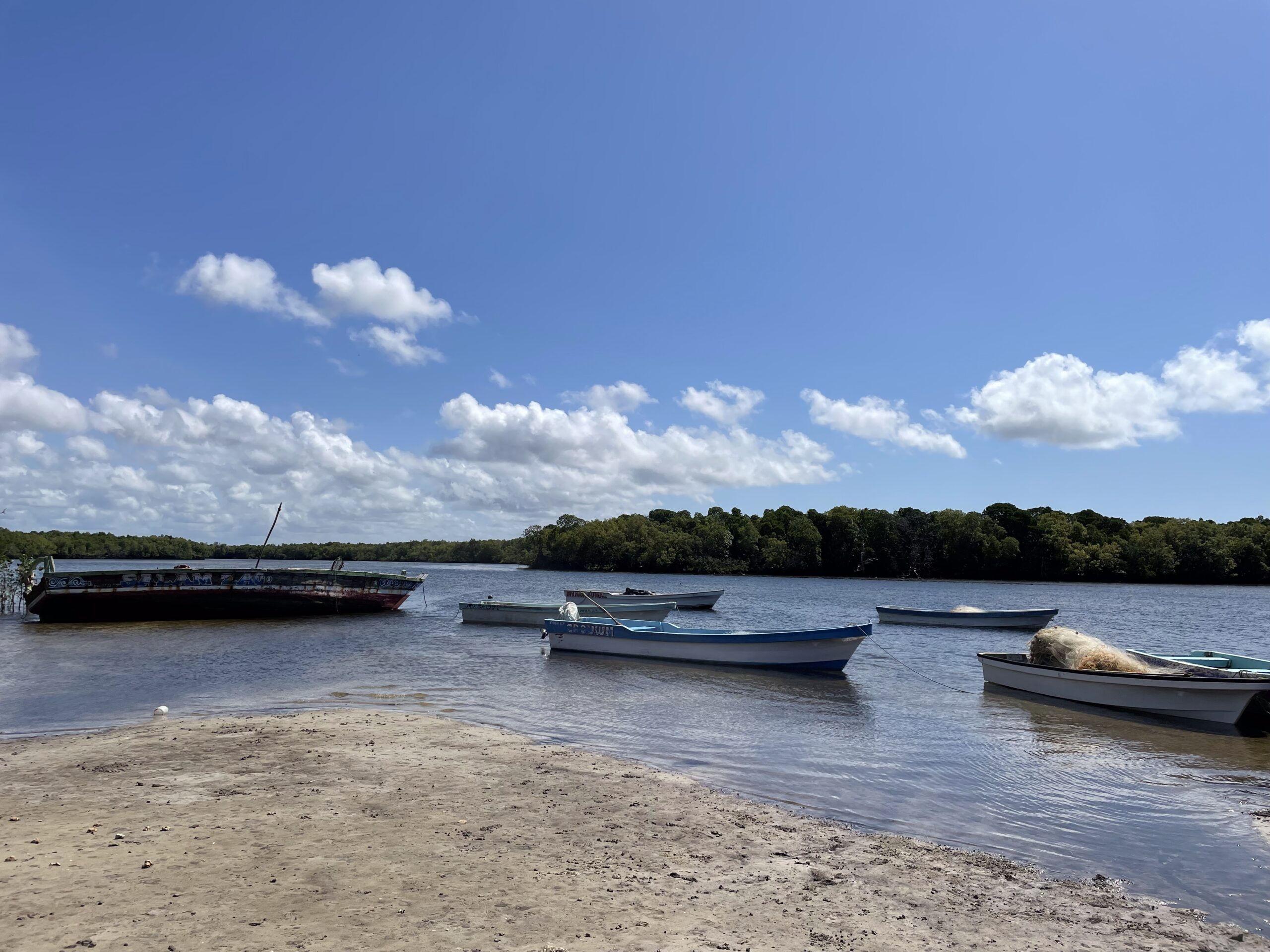 Generating revenue from conservation to build resilience in coastal Kenya