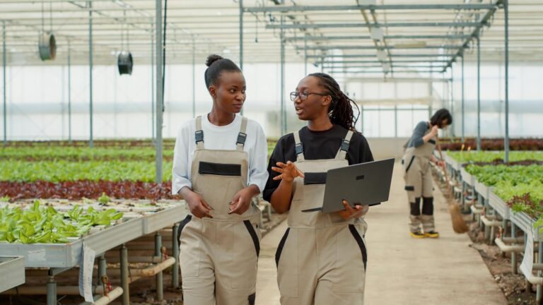 New Impact Investments for Climate Resilience in Africa and Small Island States