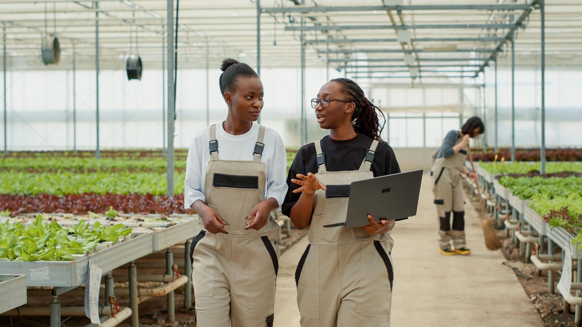 New Impact Investments for Climate Resilience in Africa and Small Island States